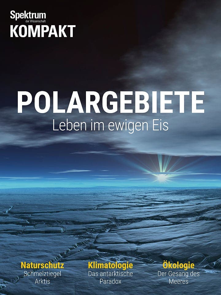 Spektrum Kompakt:  Polargebiete – Leben im ewigen Eis