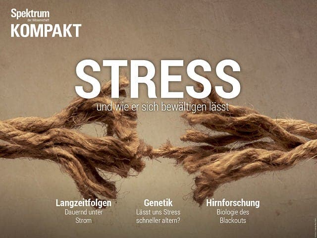 Spektrum Kompakt:  Stress – und wie er sich bewältigen lässt