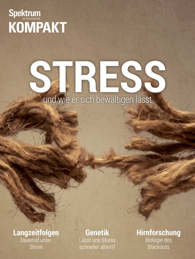 Stress - und wie er sich bewältigen lässt