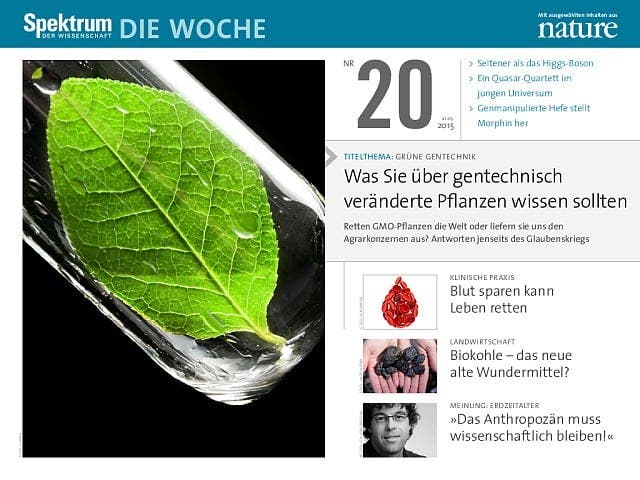  Was sie über gentechnisch veränderte Pflanzen wissen sollten