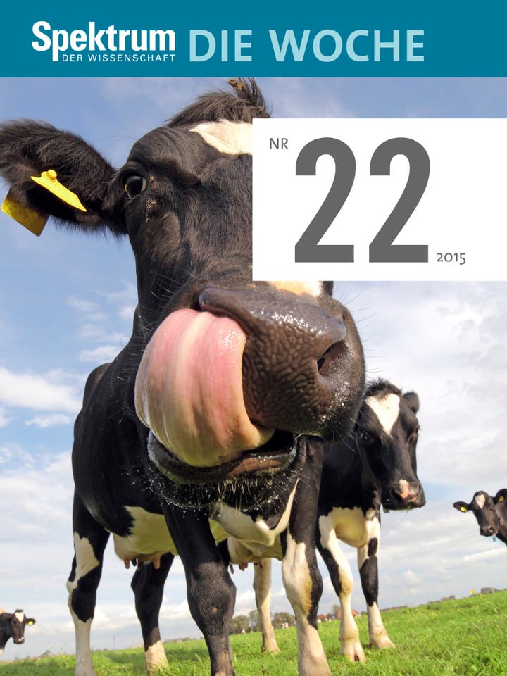 Spektrum – Die Woche – 22/2015 – Rinderpsychologie: Wie tickt die Kuh?