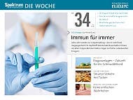 Spektrum - Die Woche - 34/2015 - Immun für immer