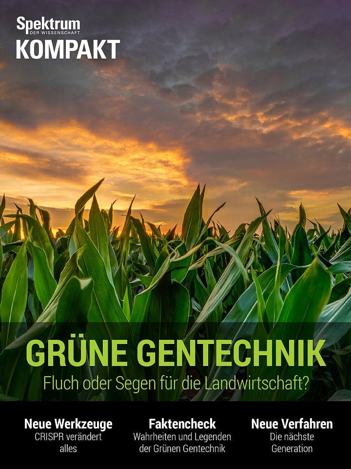 Spektrum Kompakt:  Grüne Gentechnik – Fluch oder Segen für die Landwirtschaft?