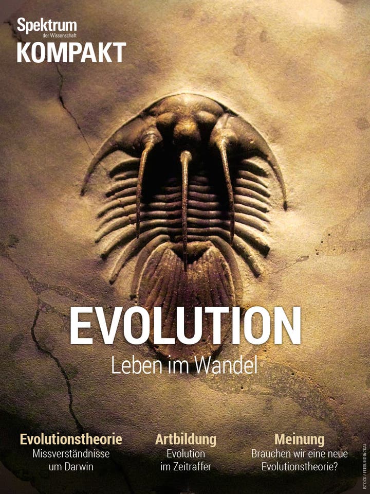 Evolution - Leben im Wandel