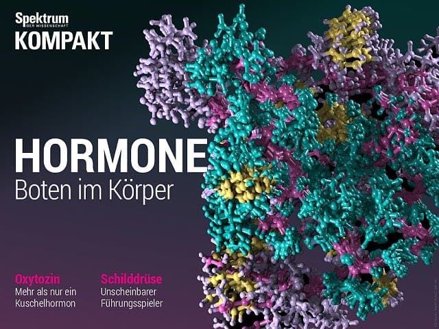 Spektrum Kompakt - 25/2015 - Hormone - Boten im Körper