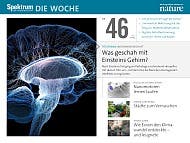 Spektrum - Die Woche - 46/2015 - Was geschah mit Einsteins Gehirn?