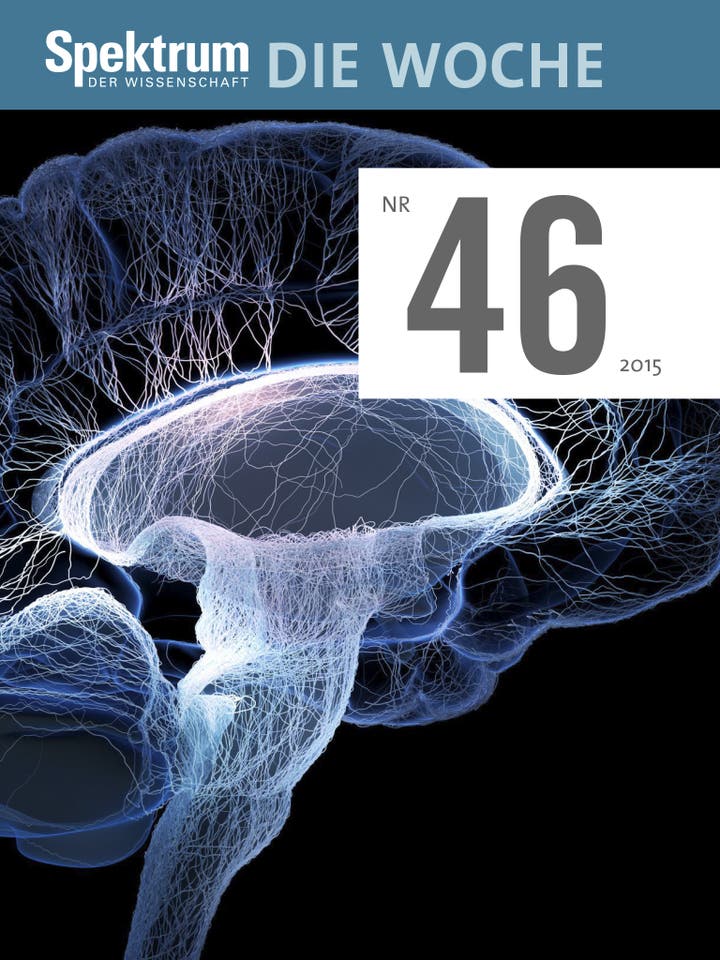 Spektrum – Die Woche – 46/2015 – Was geschah mit Einsteins Gehirn?