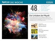 Spektrum - Die Woche - 48/2015 - Die Untoten der Physik