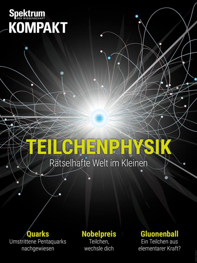 Spektrum Kompakt - 38/2015 - Teilchenphysik - Rätselhafte Welt im Kleinen