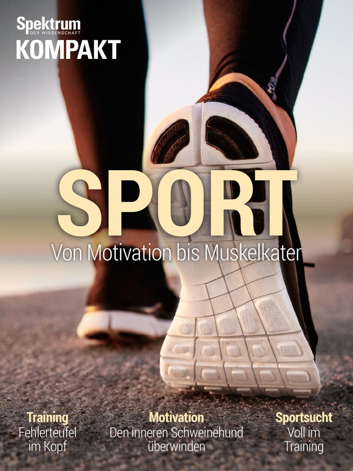 Spektrum Kompakt - 1/2016 - Sport - Von Motivation bis Muskelkater