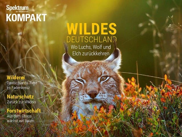 Spektrum Kompakt - 9/2016 - Wildes Deutschland - Wo Luchs, Wolf und Elch zurückkehren