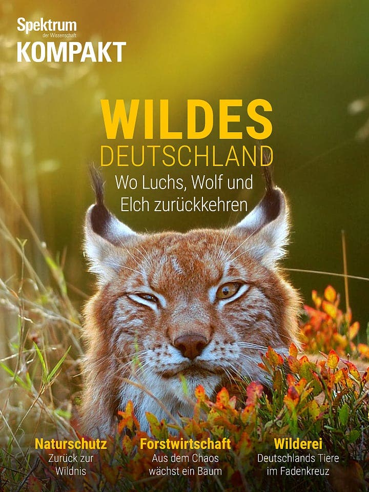 Spectrum Compact: Wild Duitsland - waar de lynx, wolf en eland terugkeren