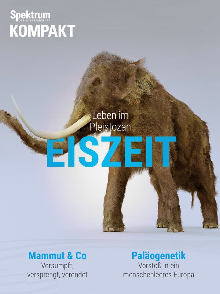 Spektrum Kompakt - 12/2016 - Eiszeit - Leben im Pleistozän