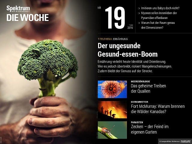  Der ungesunde Gesund-essen-Boom