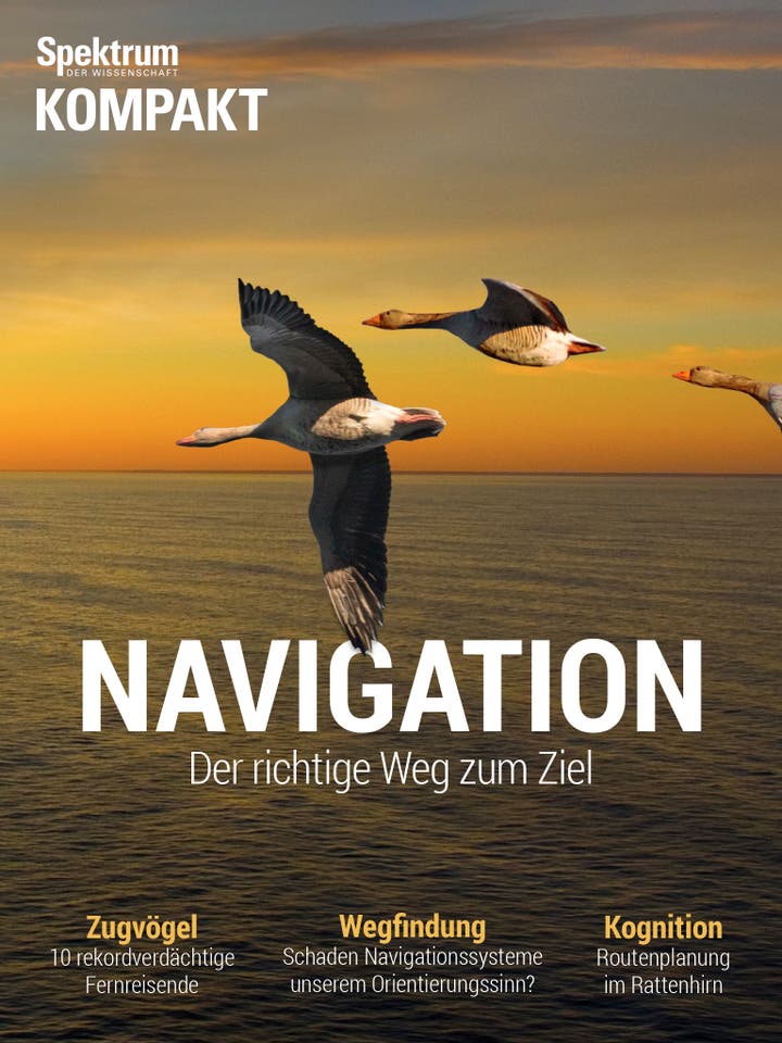 Spektrum Kompakt - 14/2016 - Navigation - Der richtige Weg zum Ziel