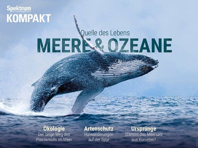 Spektrum Kompakt - 19/2016 - Meere und Ozeane - Quelle des Lebens
