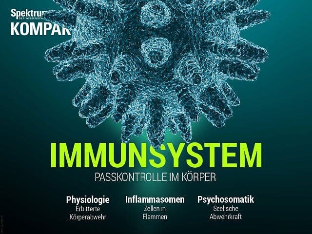 Spektrum Kompakt - 24/2016 - Immunsystem - Passkontrolle im Körper