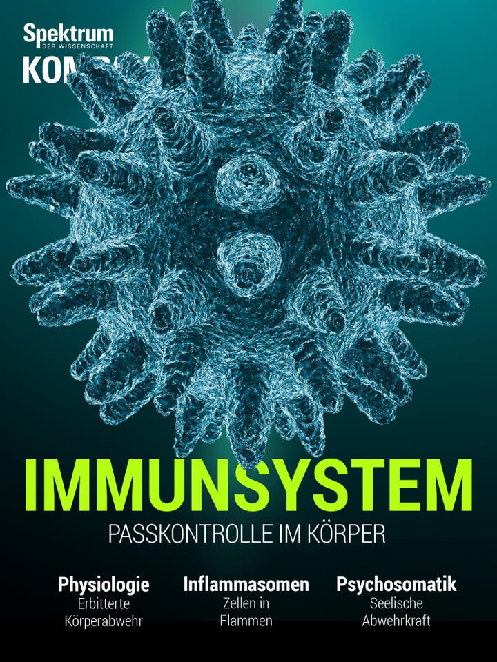 Immunsystem - Passkontrolle im Körper