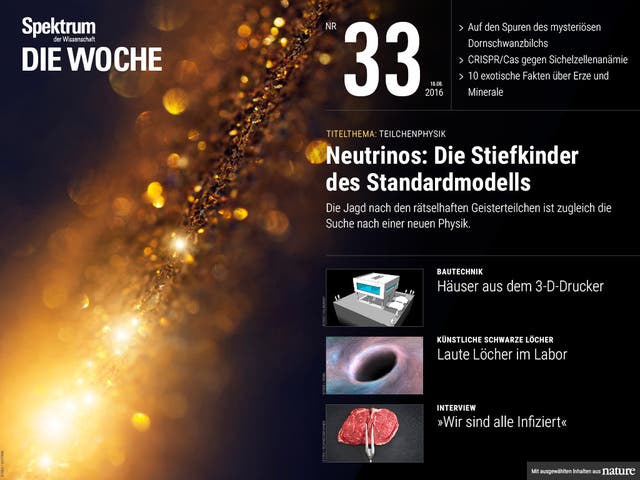 Spektrum - Die Woche - 33/2016 - Neutrinos: Die Stiefkinder des Standardmodells