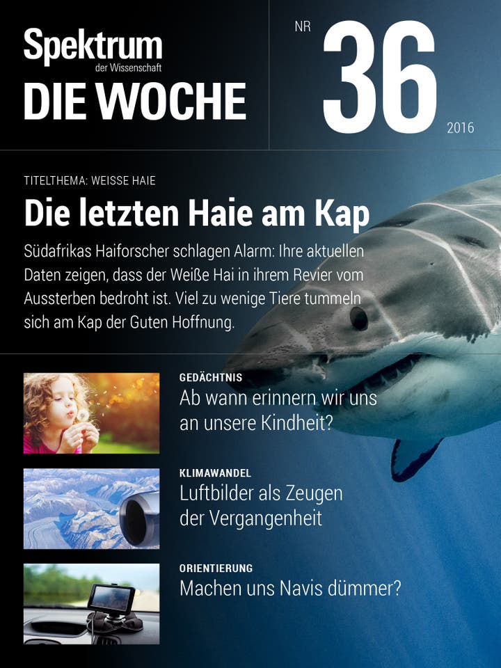 Spektrum – Die Woche – 36/2016 – Die letzten Haie am Kap