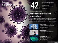 Spektrum - Die Woche - 42/2016 - Wie Viren unseren Darm beherrschen Spektrum - Die Woche - 42/2016 - Wie Viren unseren Darm beherrschen