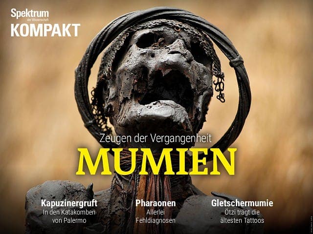 Spektrum Kompakt:  Mumien – Zeugen der Vergangenheit