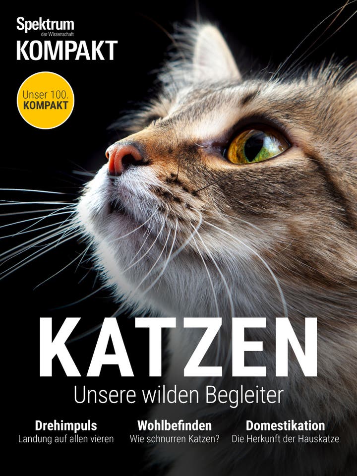 Spektrum Kompakt - 42/2016 - Katzen - Unsere wilden Begleiter