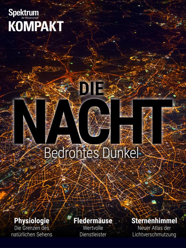 Spektrum Kompakt - 50/2016 - Die Nacht - Bedrohtes Dunkel