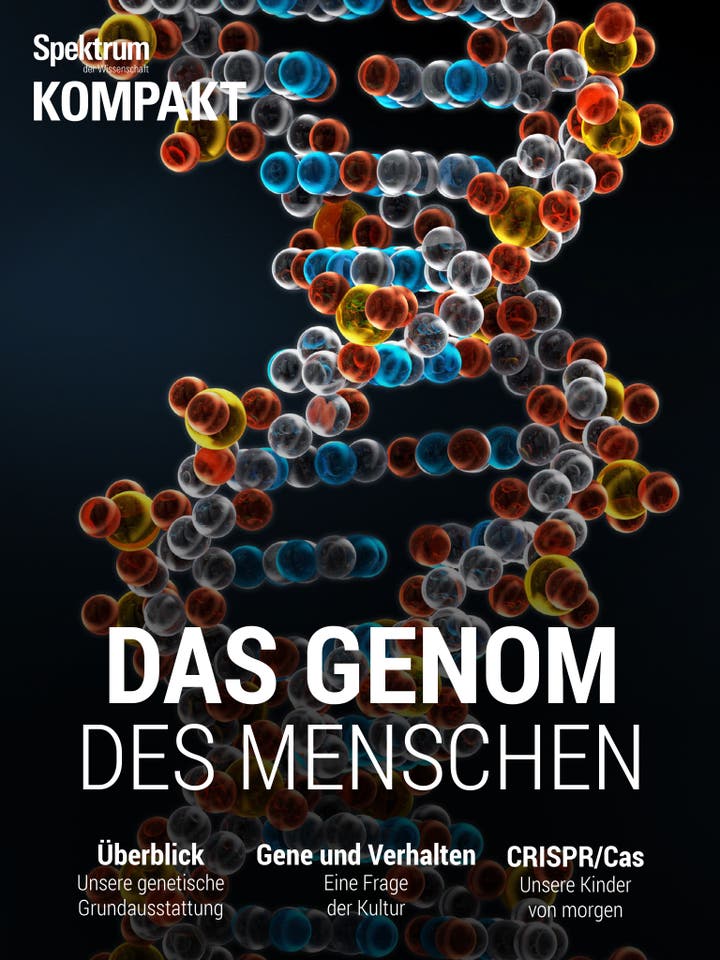 Das Genom des Menschen