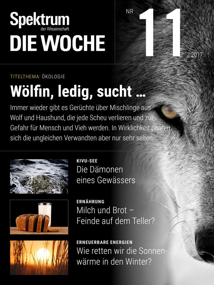 Spektrum – Die Woche – 11/2017 – Wölfin, ledig sucht...