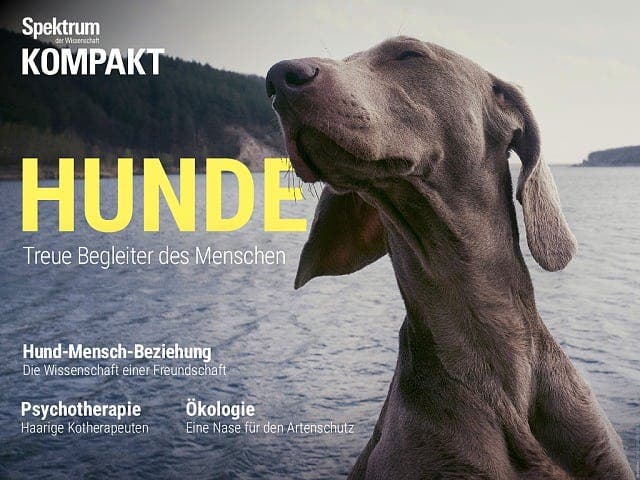 Spektrum Kompakt - 8/2017 - Hunde - Treue Begleiter des Menschen