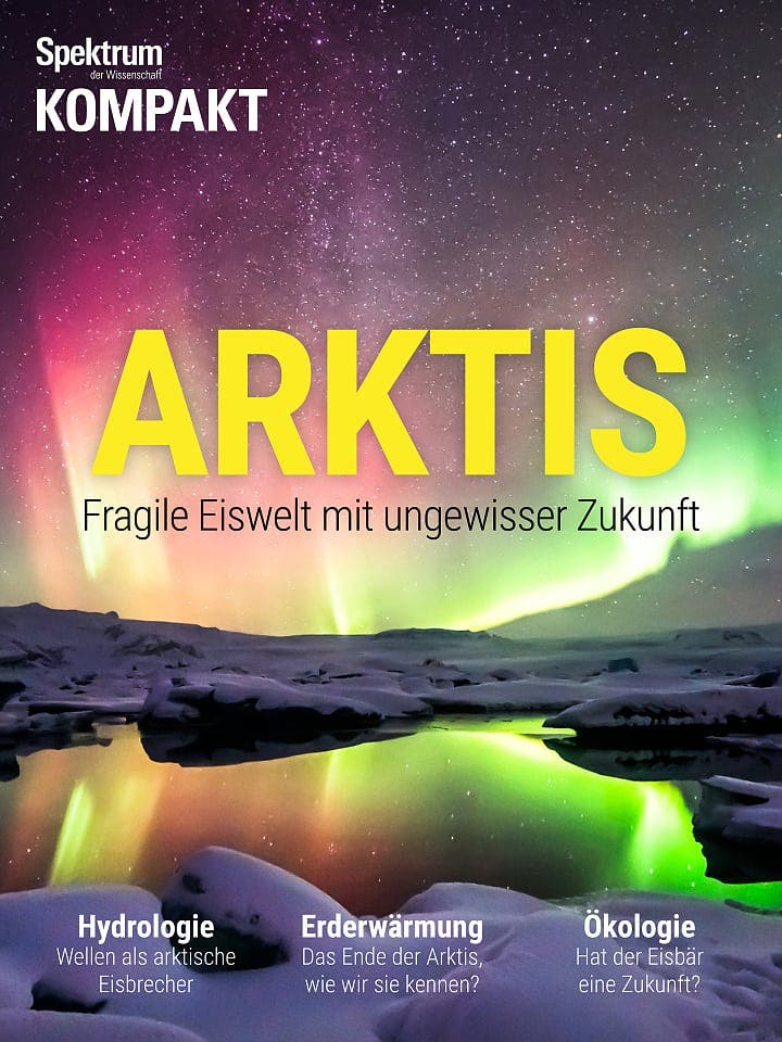 Spektrum Kompakt:  Arktis – Fragile Eiswelt