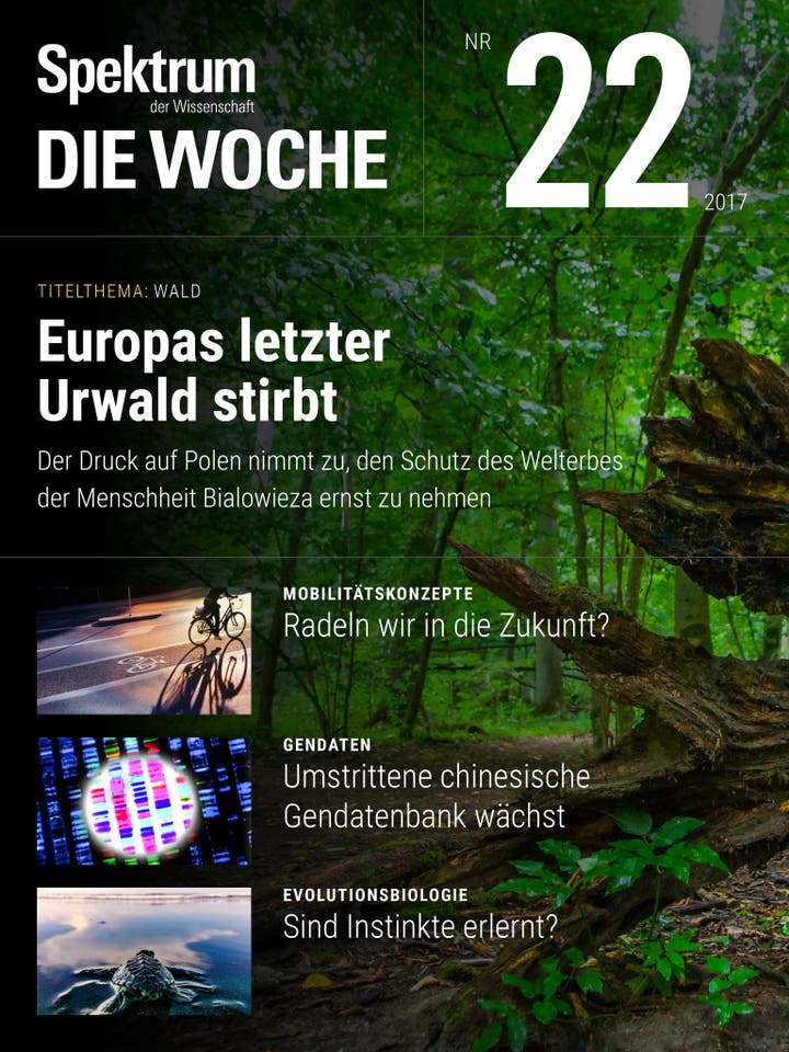 Spektrum – Die Woche – 22/2017 – Europas letzter Urwald stirbt