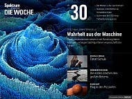 Spektrum - Die Woche - 30/2017 - Wahrheit aus der Maschine