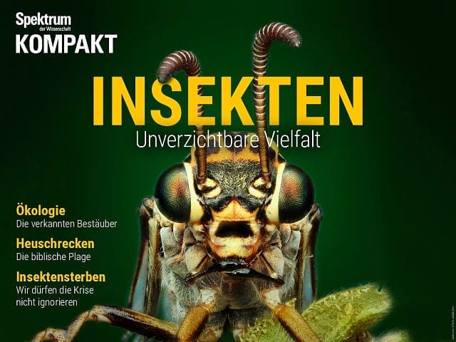 Spektrum Kompakt - 25/2017 - Insekten - Unverzichtbare Vielfalt