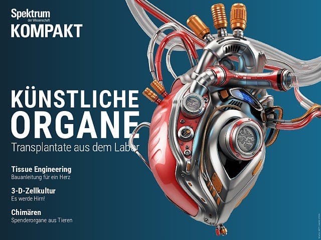  Künstliche Organe – Transplantate aus dem Labor