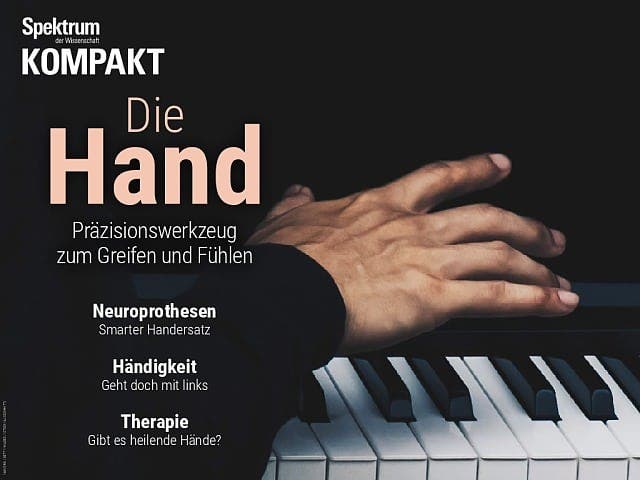 Spektrum Kompakt:  Die Hand – Präzisionswerkzeug zum Greifen und Fühlen