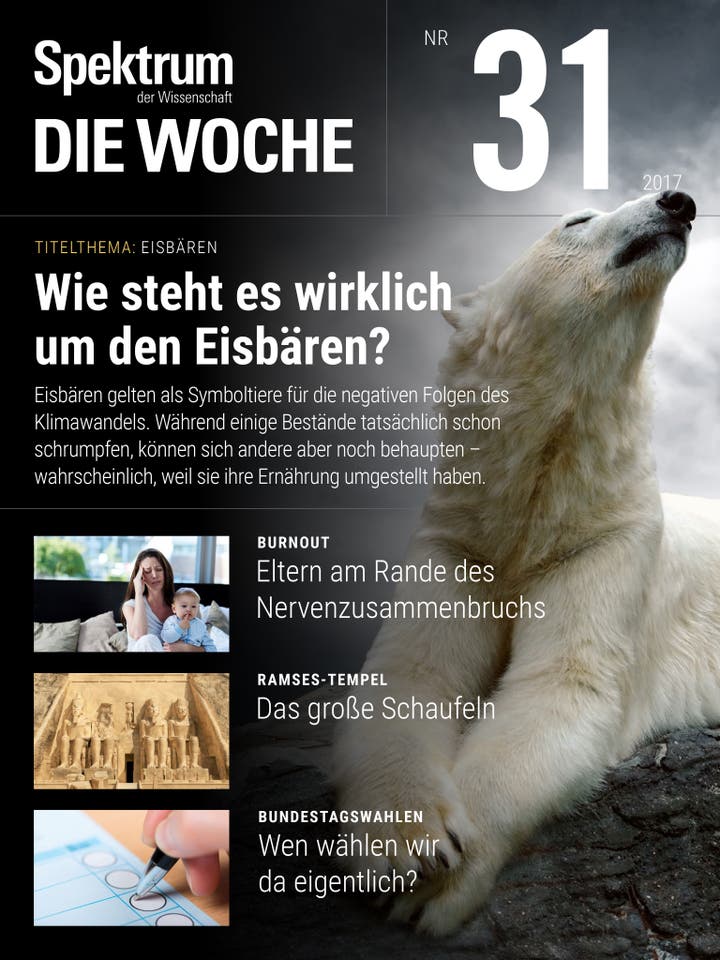 Spektrum – Die Woche – 31/2017 – Wie steht es wirklich um den Eisbären?