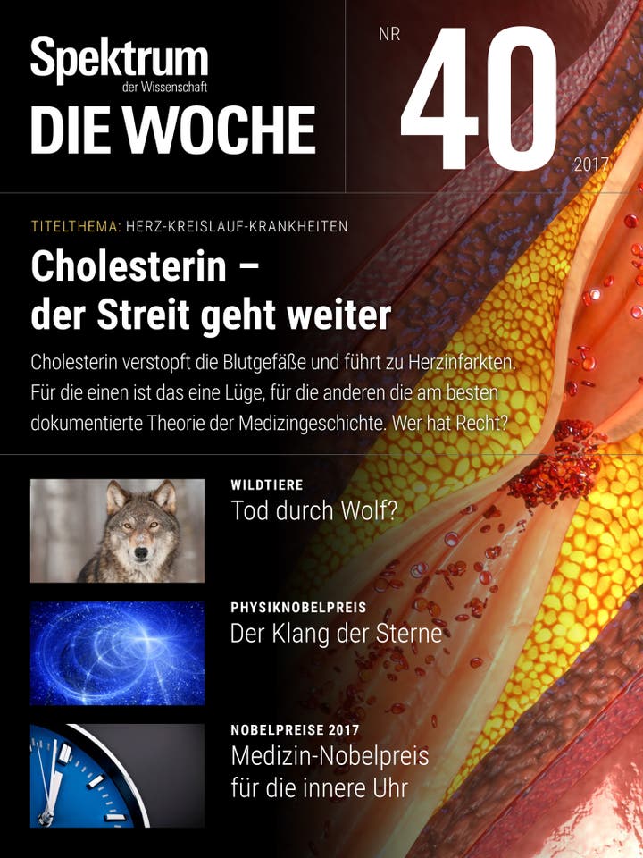 Spektrum – Die Woche – 40/2017 – Cholesterin- der Streit geht weiter