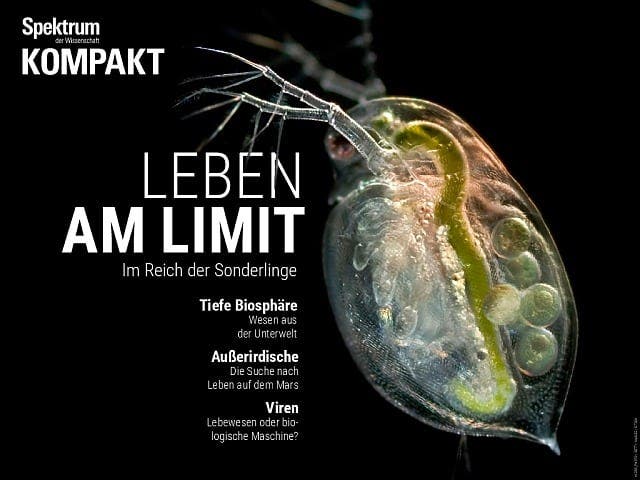 Spektrum Kompakt - 36/2017 - Leben am Limit - Im Reich der Sonderlinge