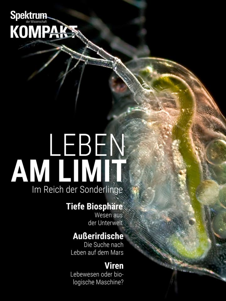 Spektrum Kompakt - 36/2017 - Leben am Limit - Im Reich der Sonderlinge