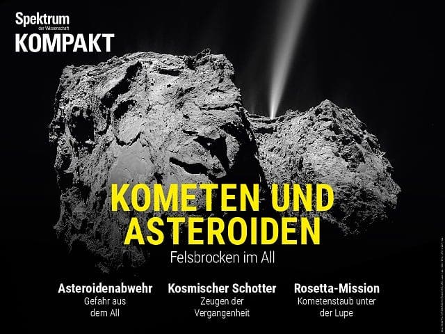 Spektrum Kompakt:  Kometen und Asteroiden – Felsbrocken im All