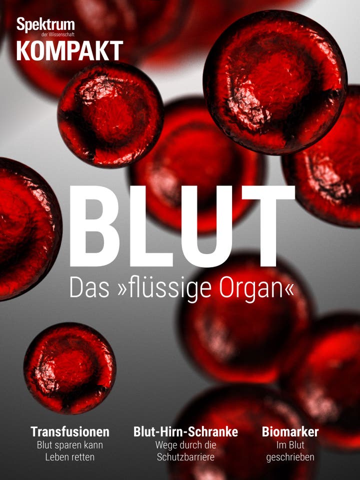 Blut – Das "flüssige Organ"