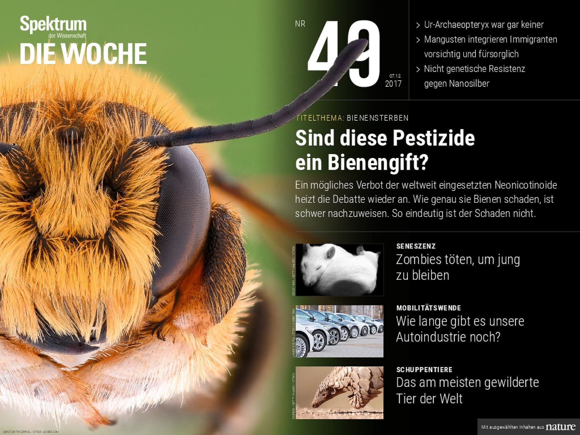 Sind diese Pestizide ein Bienengift?