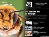 Spektrum - Die Woche - 49/2017 - Sind diese Pestizide ein Bienengift?