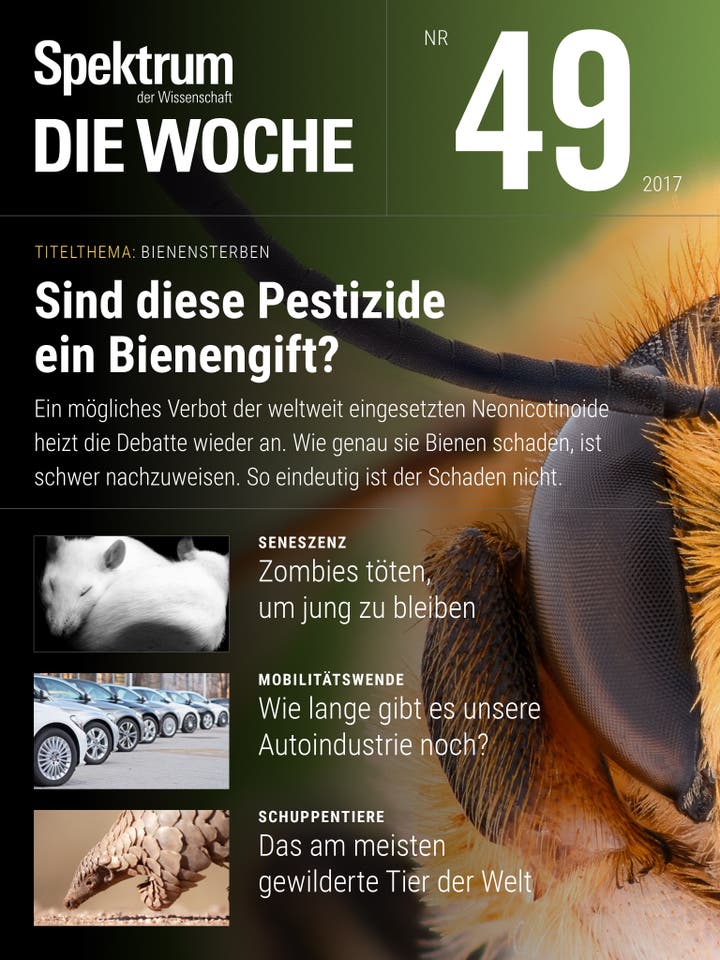 Spektrum – Die Woche – 49/2017 – Sind diese Pestizide ein Bienengift?