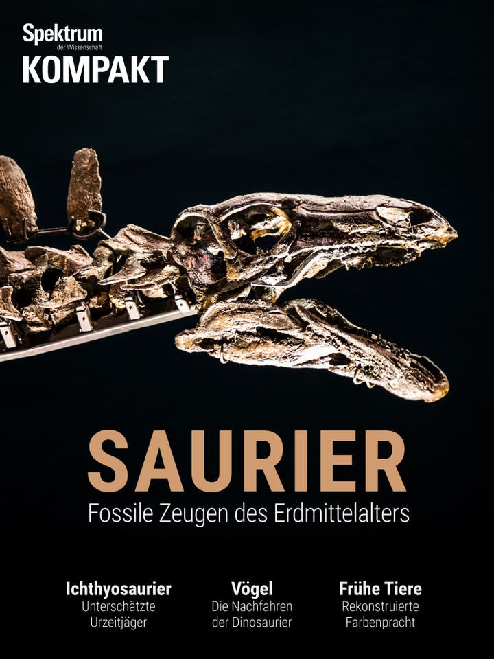 Spektrum Kompakt – 3/2018 – Saurier – Fossile Zeugen des Erdmittelalters