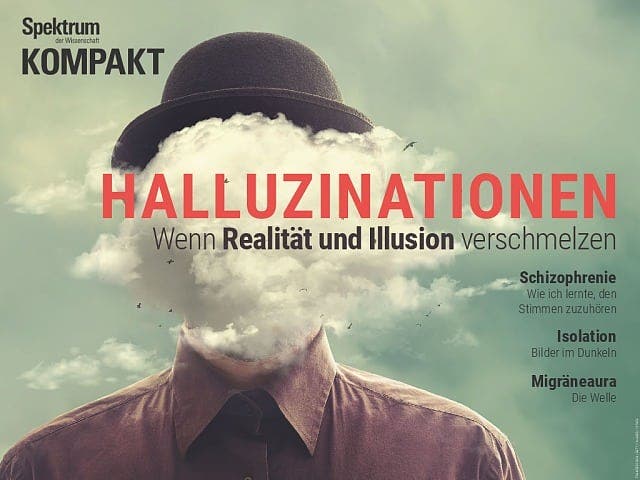 Spektrum Kompakt:  Halluzinationen – Wenn Realität und Illusion verschmelzen
