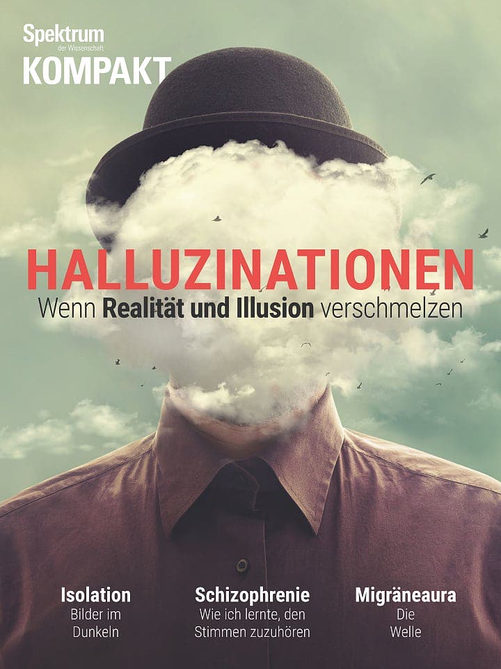 Spektrum Kompakt:  Halluzinationen – Wenn Realität und Illusion verschmelzen