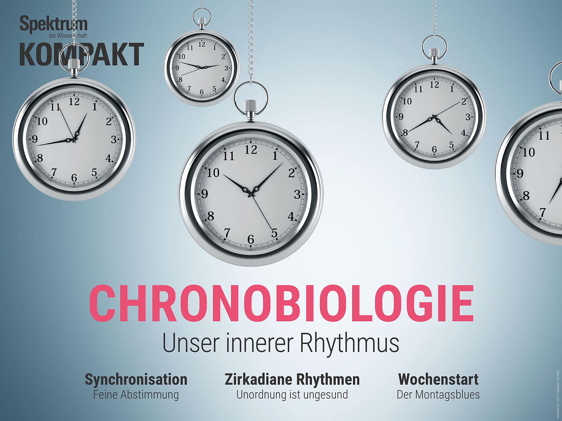 Chronobiologie - Unser innerer Rhythmus